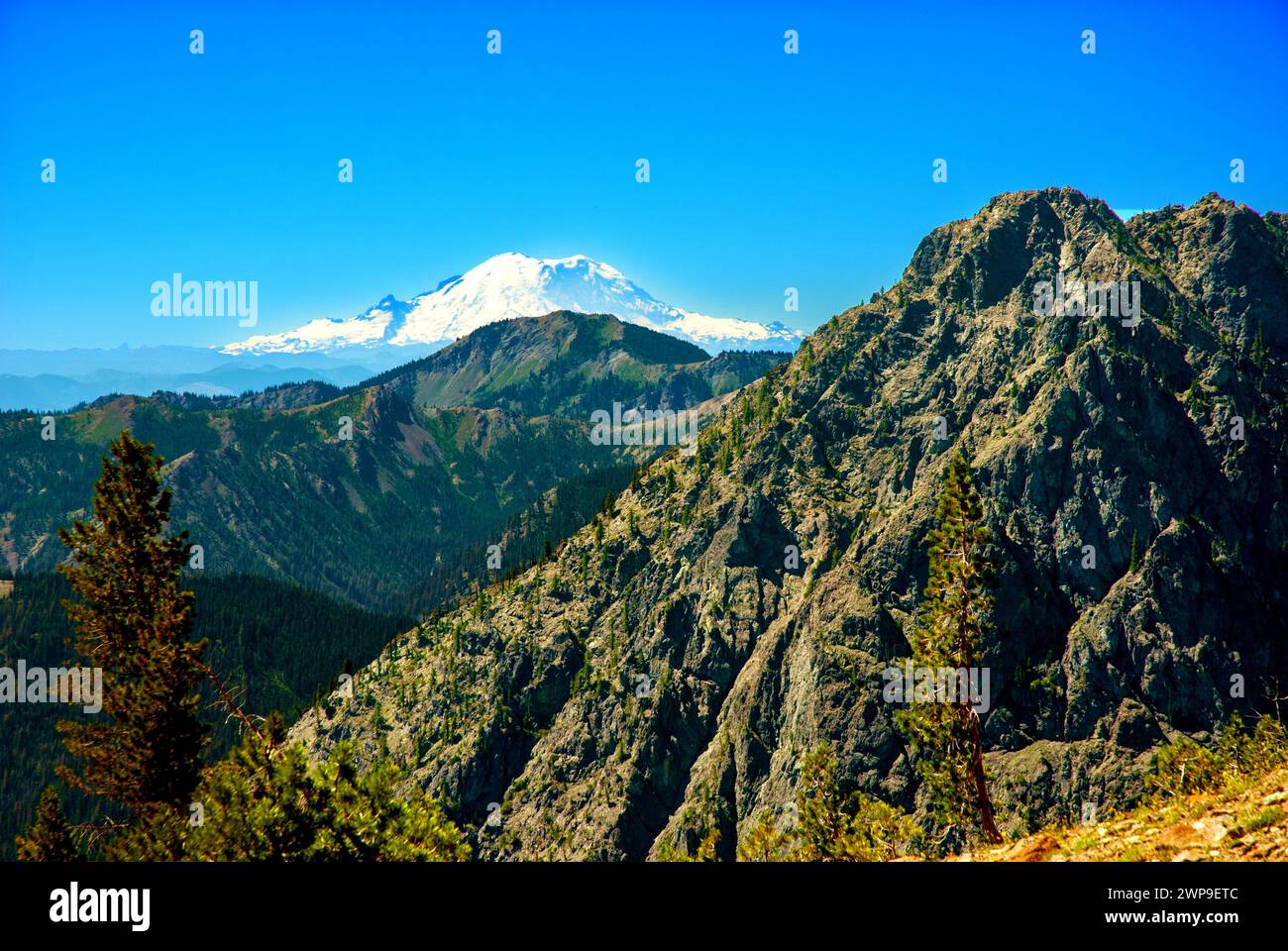 Carin baute entlang des Weges und des Ausblicks auf den Mt Adams in der Goat Rocks Wilderness Area, Washington Stockfoto