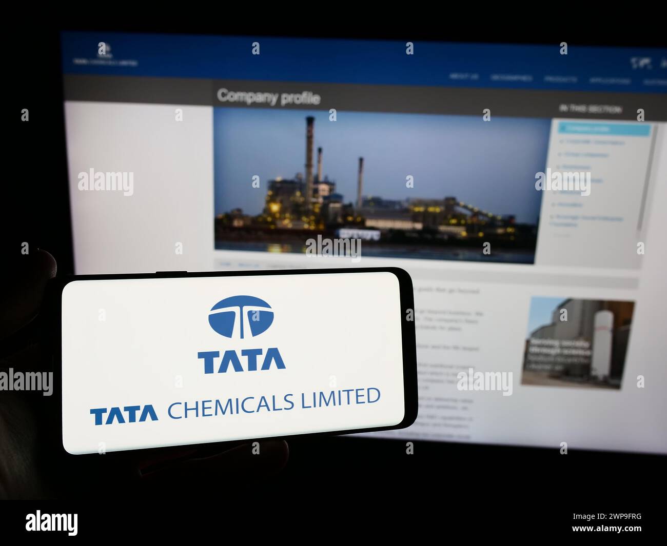 Person mit Smartphone und Logo des indischen Chemieunternehmens Tata Chemicals Limited vor der Website. Schwerpunkt auf dem Display des Telefons. Stockfoto