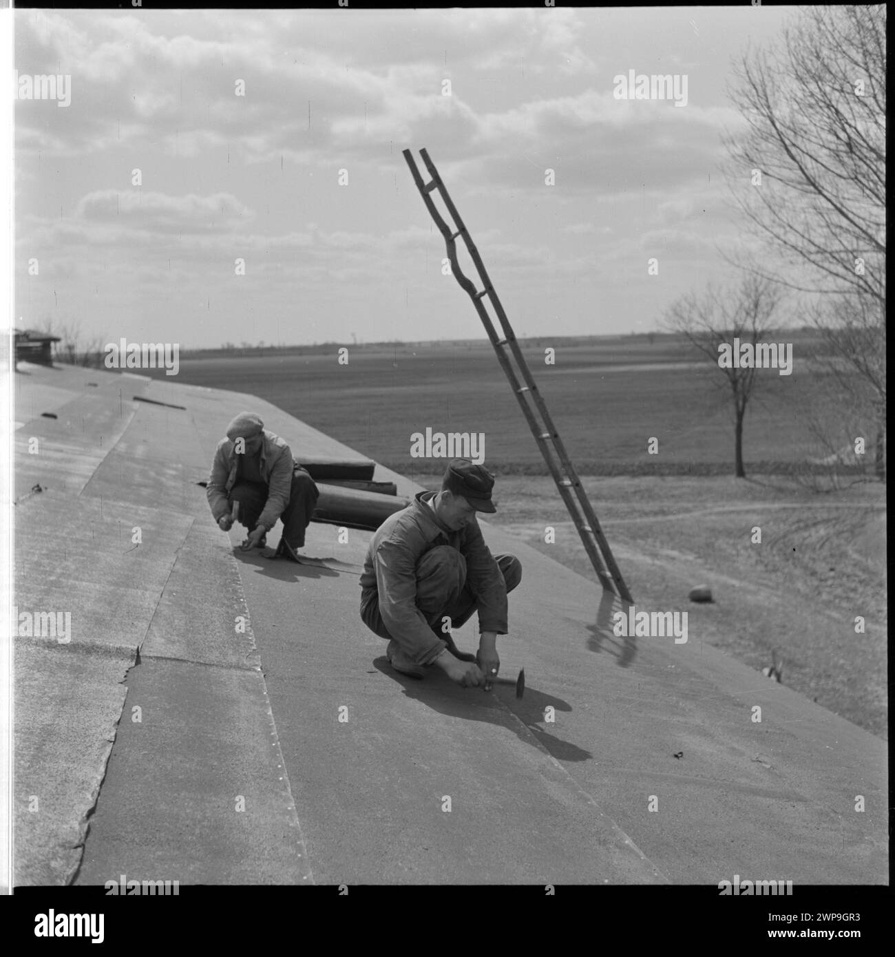 Schwarzweiß-Fotografie, die Dachdecker zeigt, die 1954 auf dem Dach eines Gebäudes in PGR Karsk Pyrzycki arbeiteten, Teil einer Serie, die die Landarbeit der Nachkriegszeit und die erste Ursus-Traktorproduktion illustriert. Stockfoto