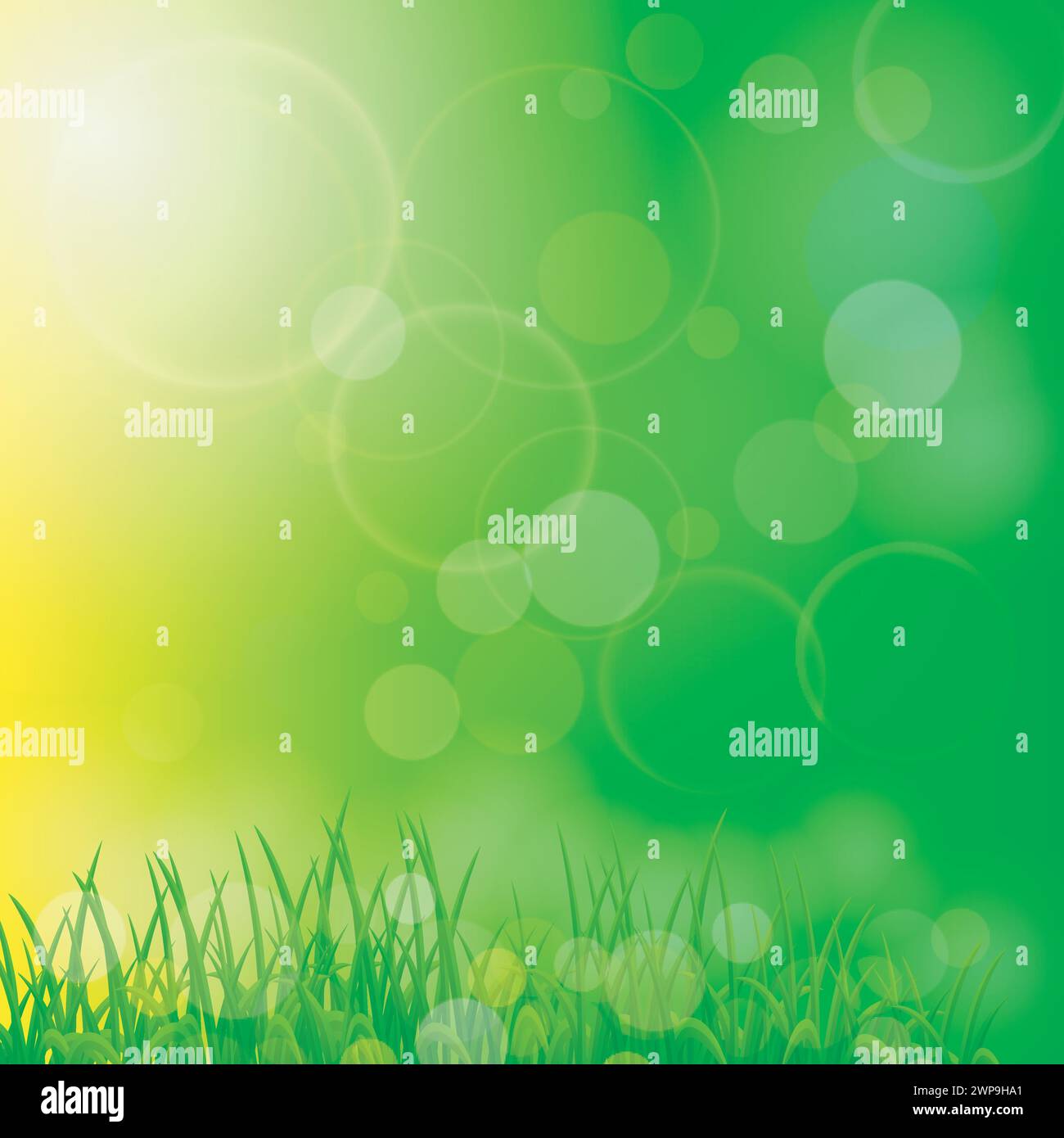 Sonnenlicht mit Gras auf Frühlingslandschaft, Vektor-Illustration Stock Vektor