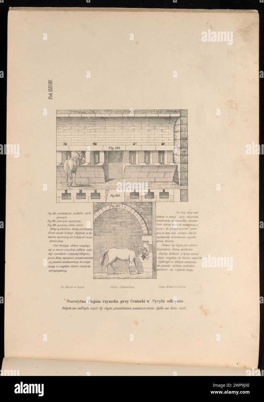 Alte römische Stallung in Centorbi in Sizilien ausgegraben; Busse, Micha (Posen; Litographische Nachgeschichte Ignacy Kraszewski (Posen; FL. 1871-Ca 1886); 1876 (1876-00-00-1876-00); Stockfoto