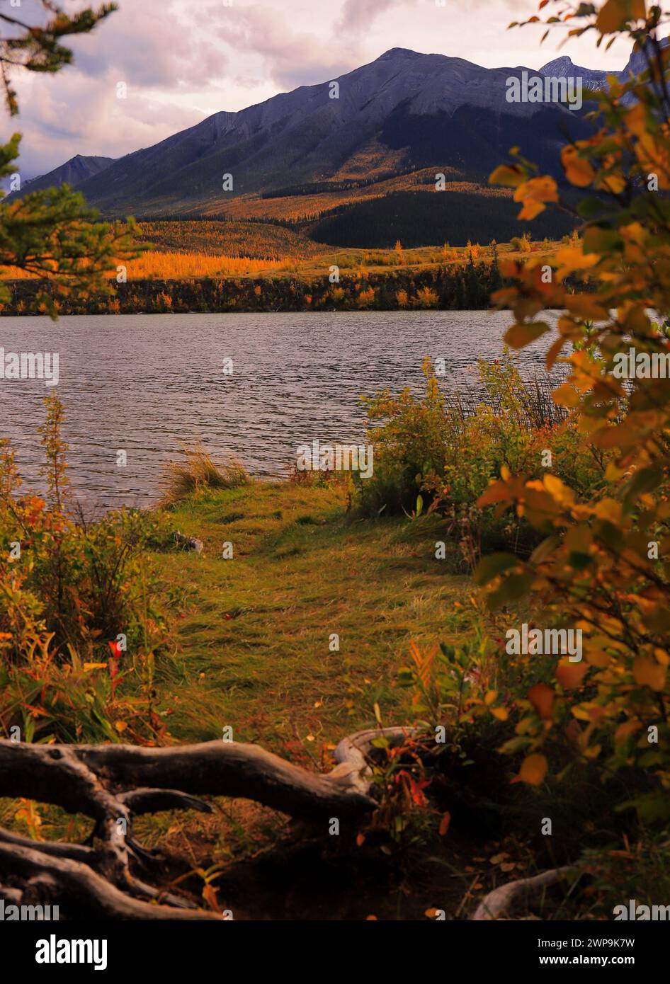 Mann, den ich vermisse Sommer/Herbst, mit all den hübschen Farben und dem warmen Wetter. Ich weiß, dass ich nicht der Einzige bin, der es vermisst. Stockfoto