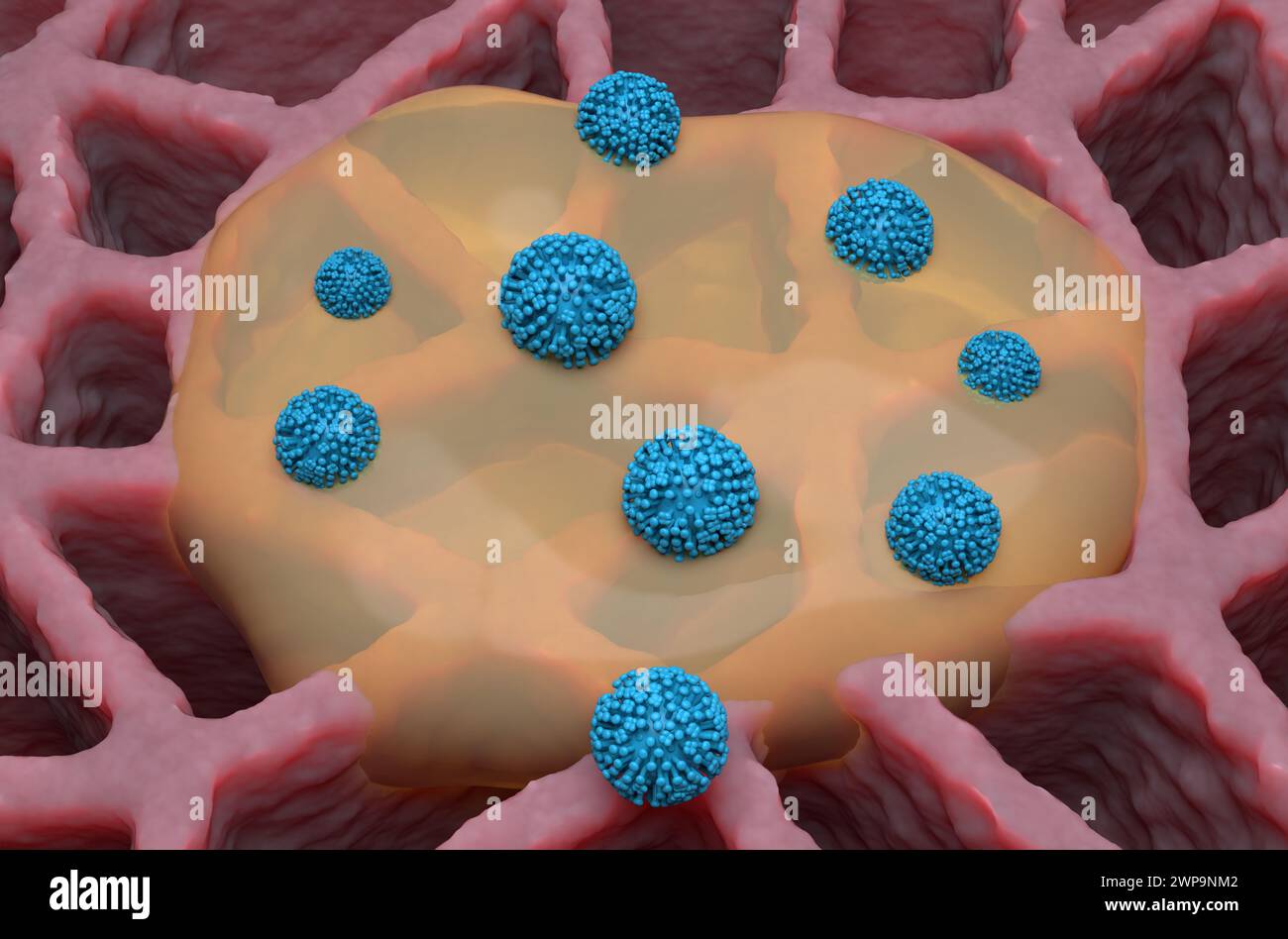 Influenza-(Grippe-)Virus und Schleim in der Lunge - isometrische Ansicht 3D-Illustration Stockfoto