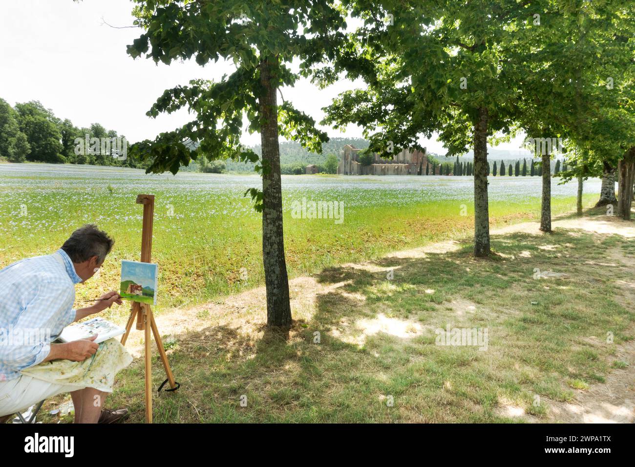Ein Maler arbeitet auf einer Leinwand inmitten von Bäumen mit einem Blumenfeld im Hintergrund, San Galgano, Siena, Italien Stockfoto