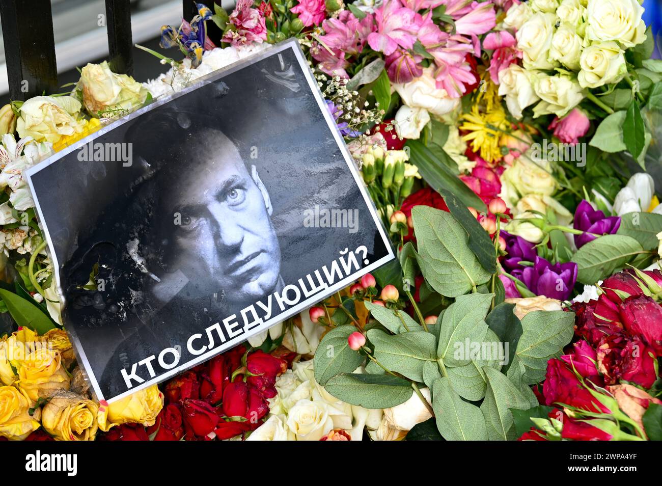 Floral Tributes an Alexej Nawalny, der am 16. Februar 2024 starb, wurden gegenüber der russischen Botschaft in Bayswater, London, gelassen Stockfoto