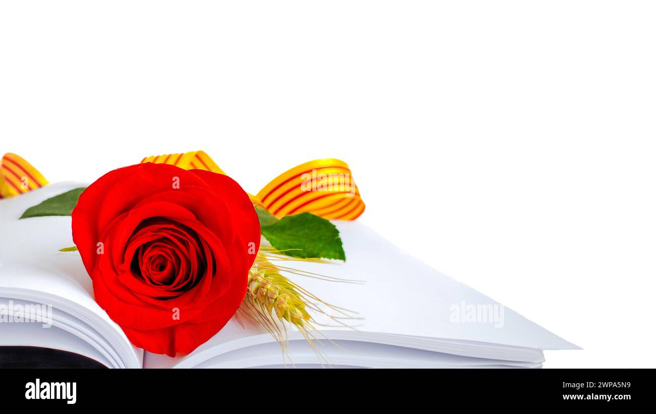Rose von Sant Jordi auf einem offenen Buch mit leeren Seiten, mit einem Weizenohr und einem Band der katalanischen Flagge. Tag buchen Stockfoto