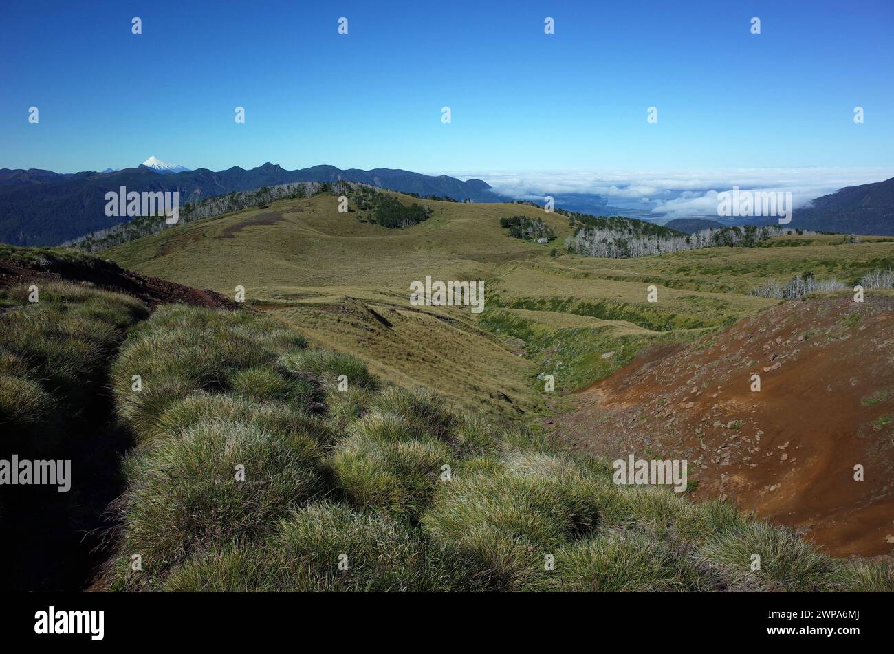 Natur Patagoniens, mit Gras bedeckte Hügel, kleine Schlucht am Berghang des Vulkans Puyehue im Puyehue Nationalpark, Los Lagos Region, Chile. Schnee- Stockfoto