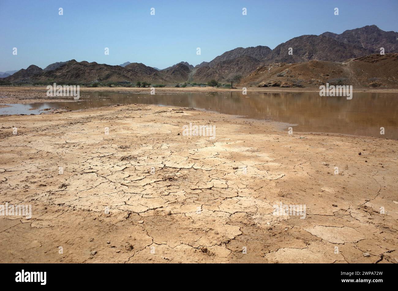 Wüstenlandschaft mit zerrissenem Schlamm, Pfützen und trockenen Bergen in Fujairah, Vereinigte Arabische Emirate Stockfoto