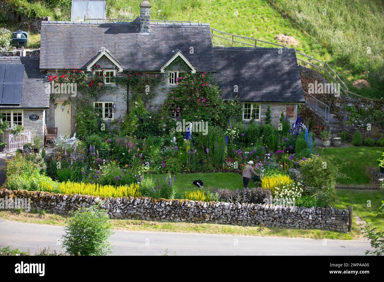 24/06/14 könnte das der schönste Hüttengarten Großbritanniens sein? Dale Bottom Cottage in Hopedale, Staffordshire, in der Nähe von Ashbourne im Peak District. Stockfoto