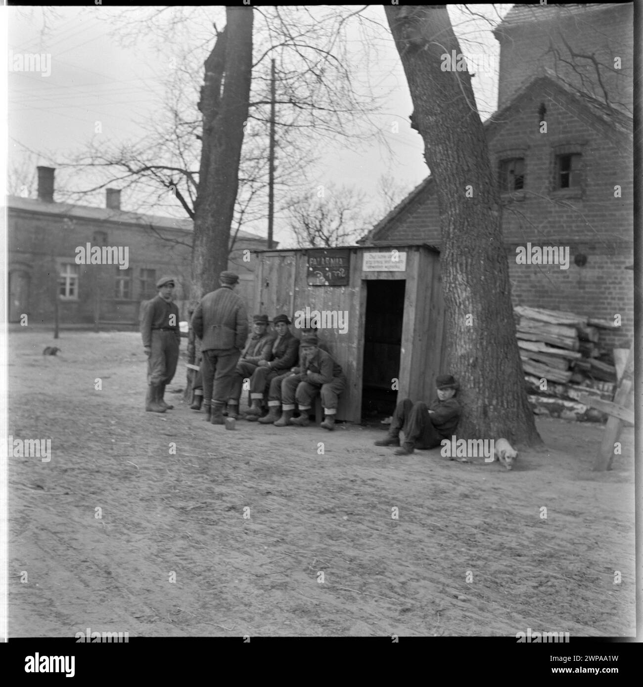 Foto von Ursus-Traktoren unter dem Röster im PGR in Karsk Pyrzycki im Jahr 1954, Teil einer Serie, die die Nachkriegstraktorproduktion dokumentiert. Stockfoto