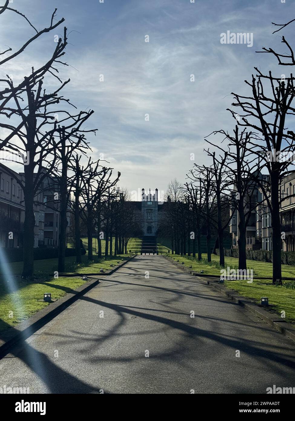 Ein Sonnenlicht filtert durch Bäume entlang einer Stadtstraße mit Gebäuden im Hintergrund Stockfoto