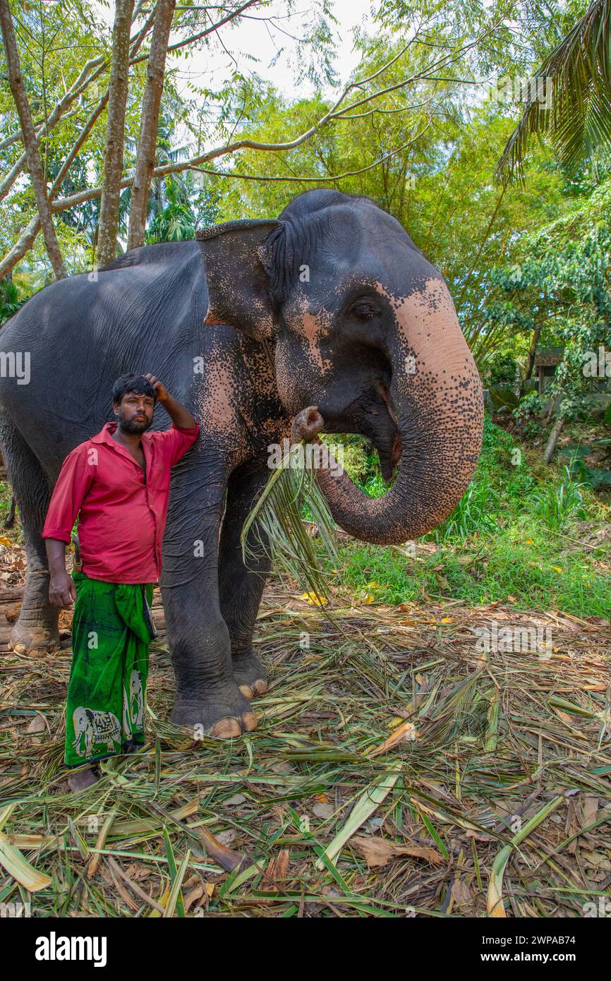 Sri Lanka 10. februar 2023. Der junge Mann aus Sri Lanka, der in hellen Sommerkleidern gekleidet ist, lächelt und steht neben einer hohen Palme auf einer Feldstraße neben seinem e Stockfoto