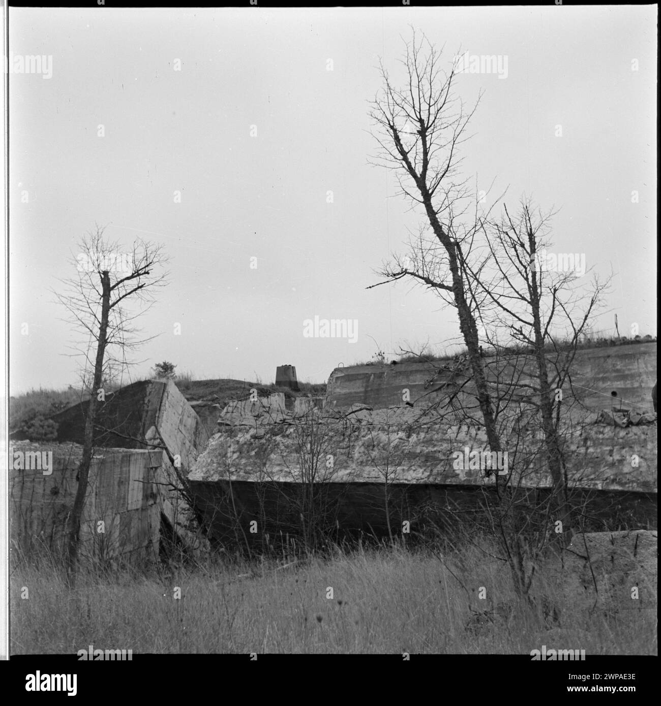 Überreste eines Bunkers in Hitlers Wolfsschanze, der strukturelle Zerstörung, umliegendes Gelände und militärische Anordnung aus einer Fotoserie aus dem Jahr 1953 dokumentiert. Stockfoto