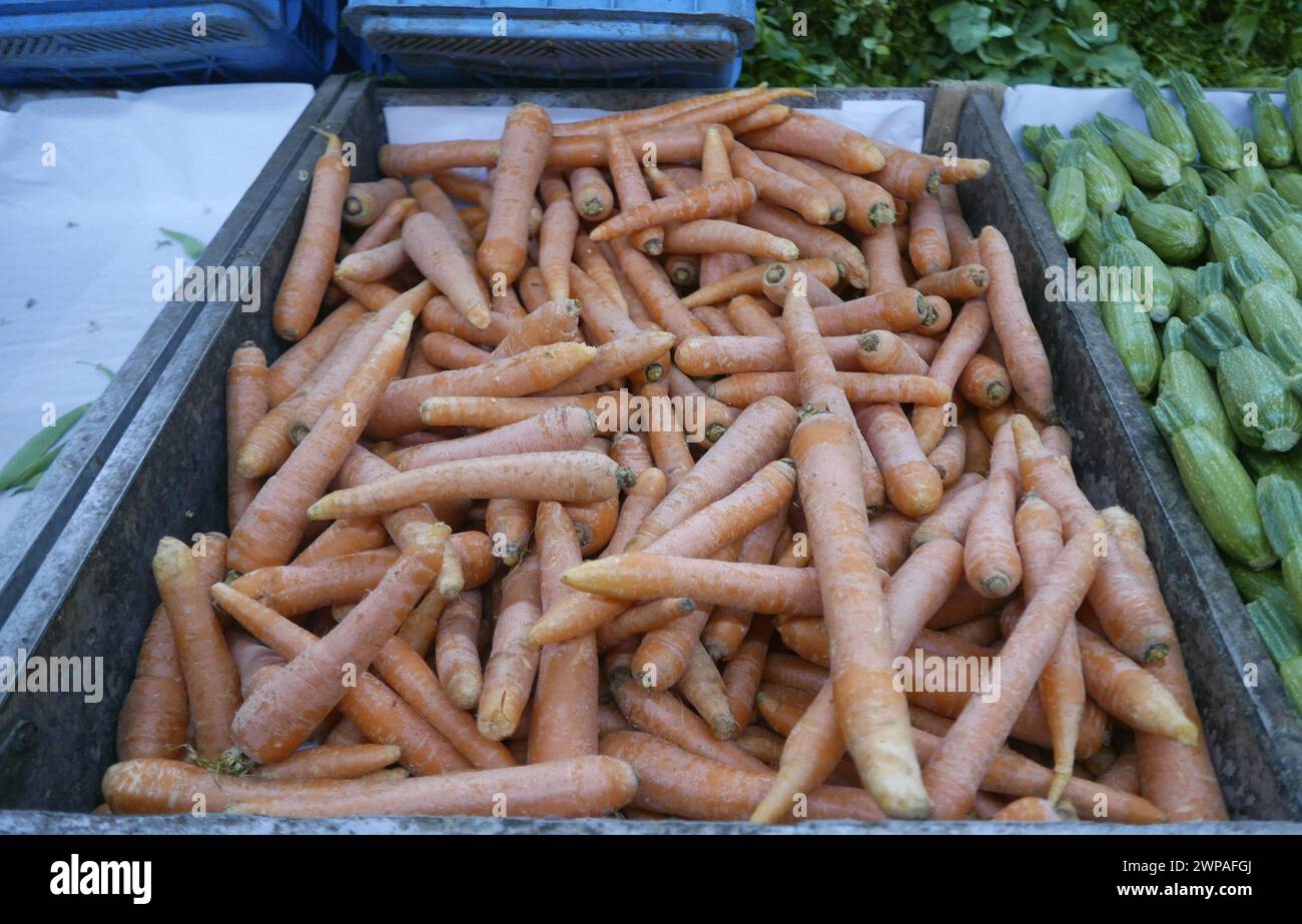 Beirut, Libanon. März 2024. Karotten für Ramadans traditionelle Säfte, die am 6. März 2024 in einem Supermarkt in Beirut, Libanon, verkauft werden. Der erste Fastentag für den muslimischen heiligen Monat Ramadan 2024 ist Montag, 11. März oder Dienstag, 12. März, je nach der Sichtung des Neumondes. Der libanesische Premierminister Najib Mikati sagte bereits an den vergangenen Tagen, dass "indirekte Gespräche zur Beendigung der Feindseligkeiten entlang der libanesisch-israelischen Grenze während des muslimischen Heiligen Monats Ramadan beginnen werden". (Foto: Elisa Gestri/SIPA USA) Credit: SIPA USA/Alamy Live News Stockfoto