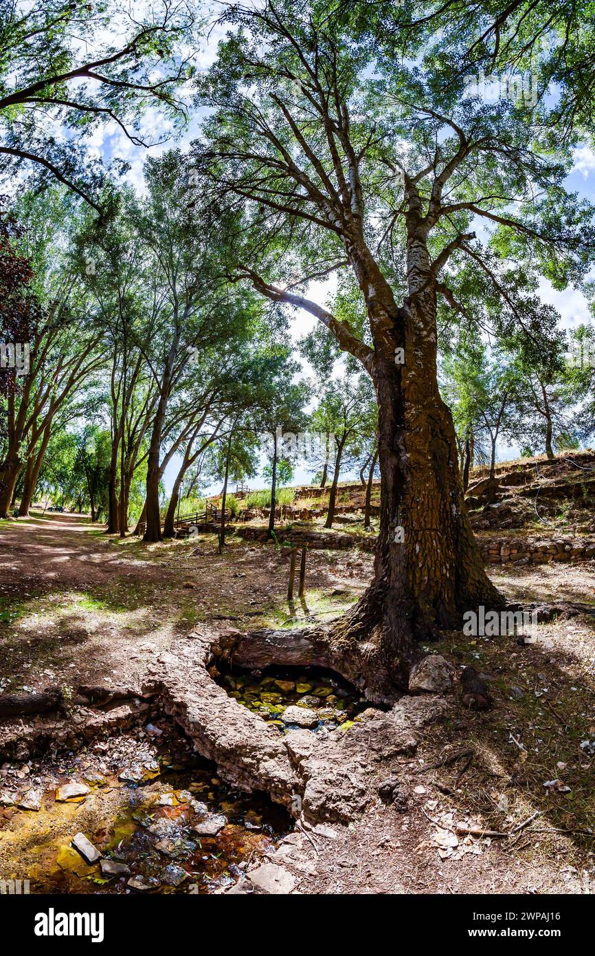 Quelle des Flusses Guadiana in Viveros Stockfoto