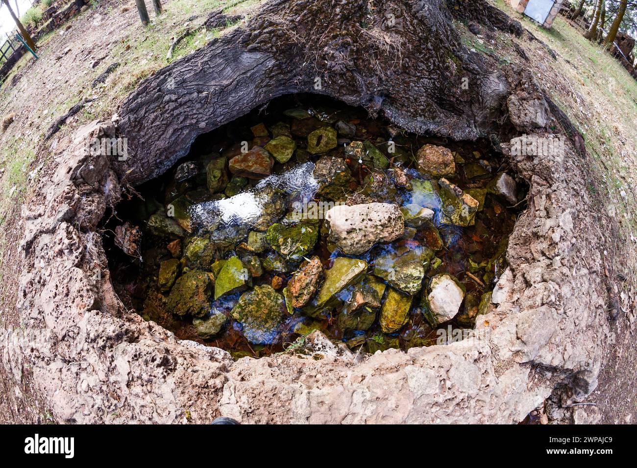 Brunnen des Flusses Pinilla unter einem Baum in Viveros Stockfoto