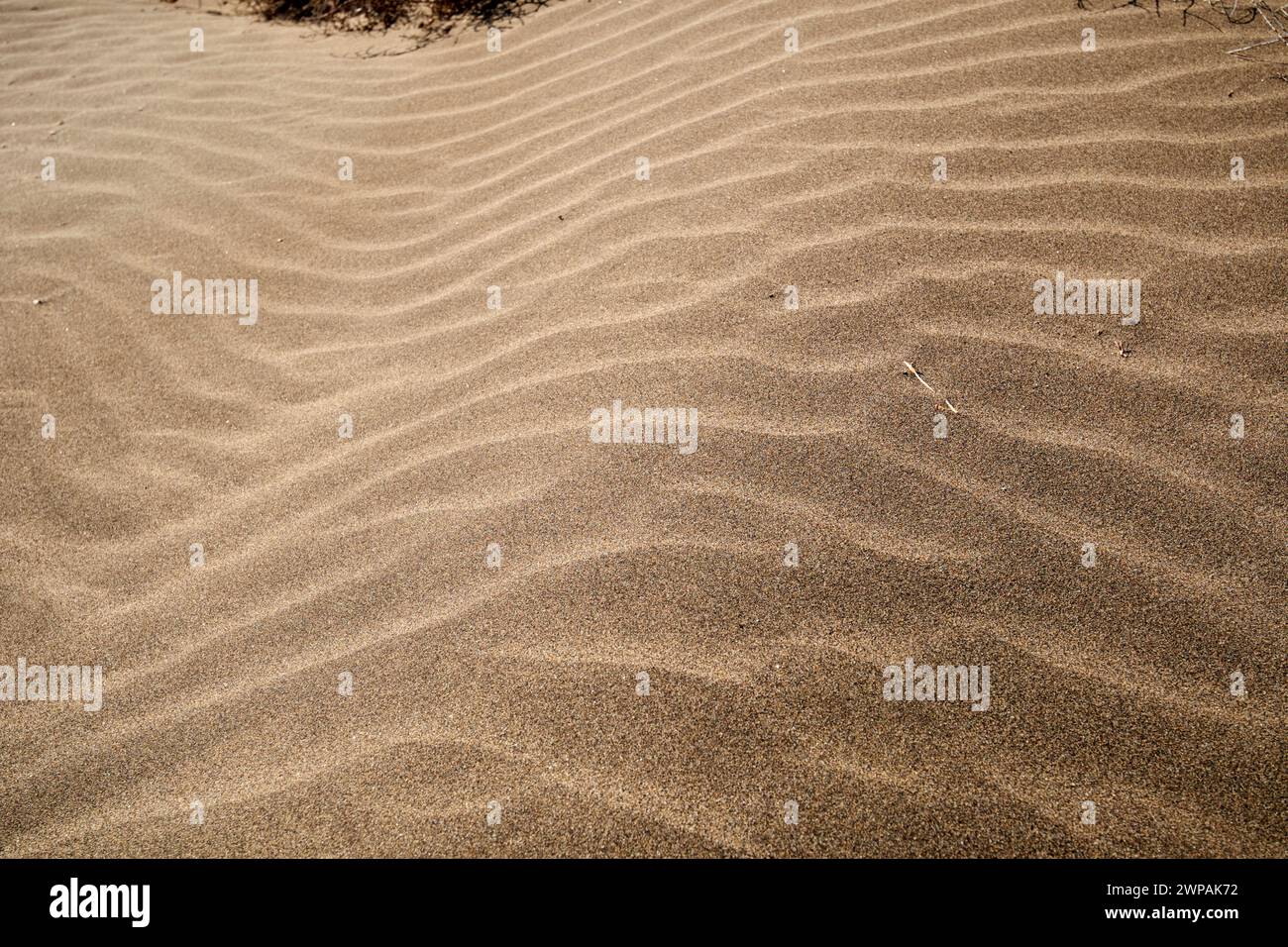 Wellenmuster im Sand durch Wind Playa Honda, Lanzarote, Kanarische Inseln, spanien Stockfoto