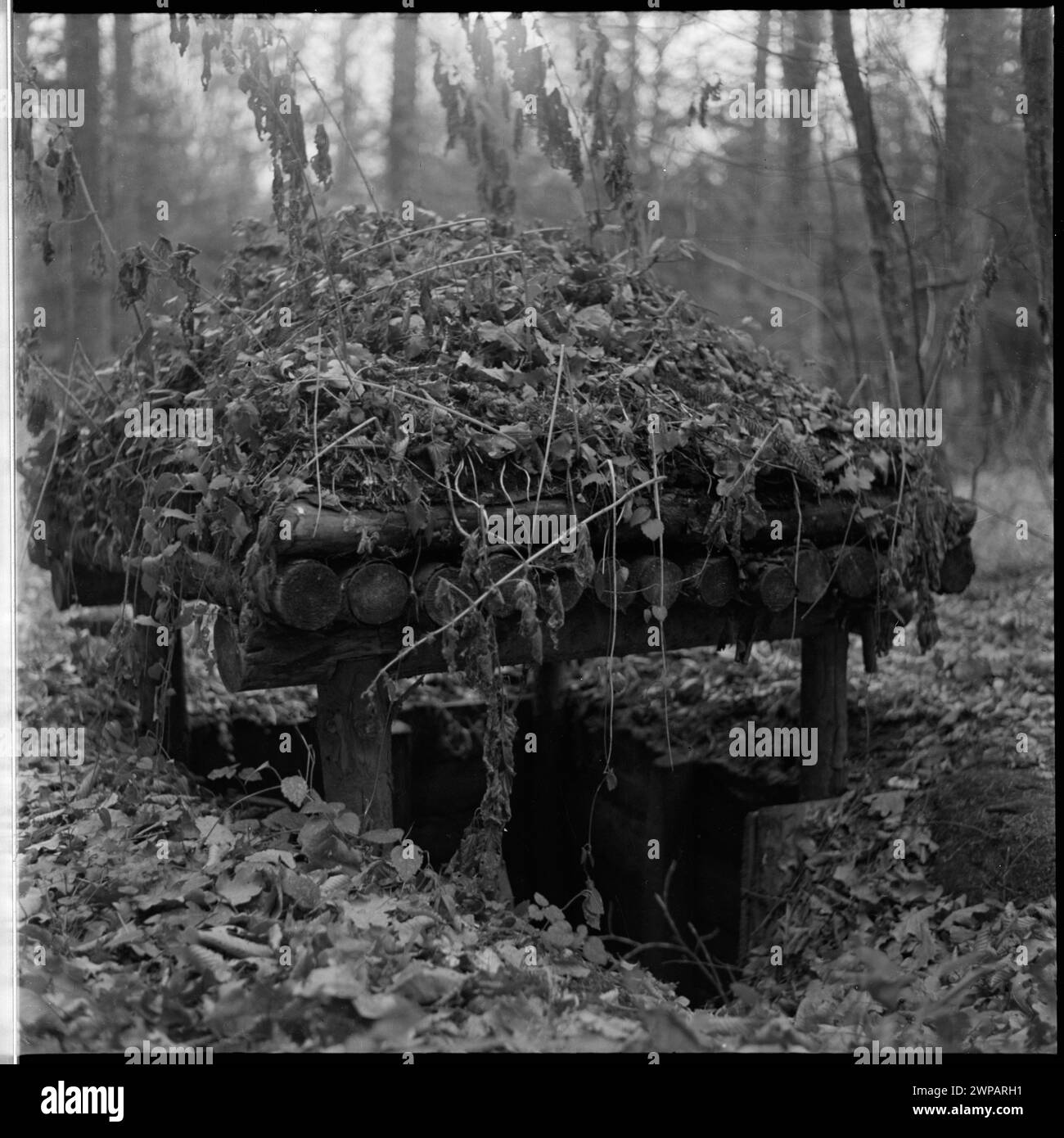 Fotos zeigen einen verborgenen Eingang zu einem unterirdischen Bunker in Wilcze Szańc, Teil des Hauptquartiers Adolf Hitlers, der 1953 in einem artikel von Mirosław Azembski beschrieben wurde. Stockfoto