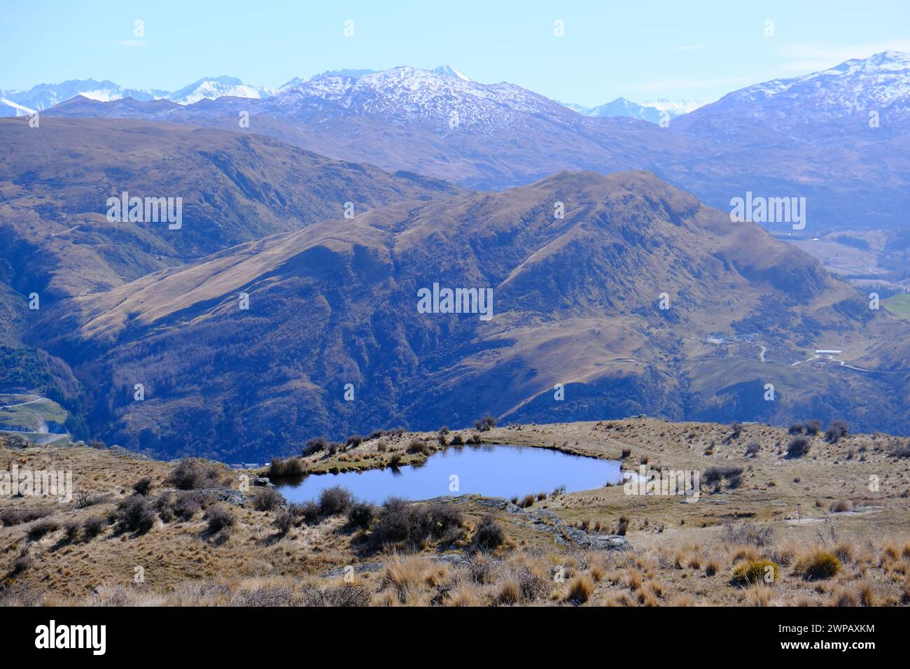 Ein herzförmiger See im Deer Park Queenstown, Neuseeland. Stockfoto