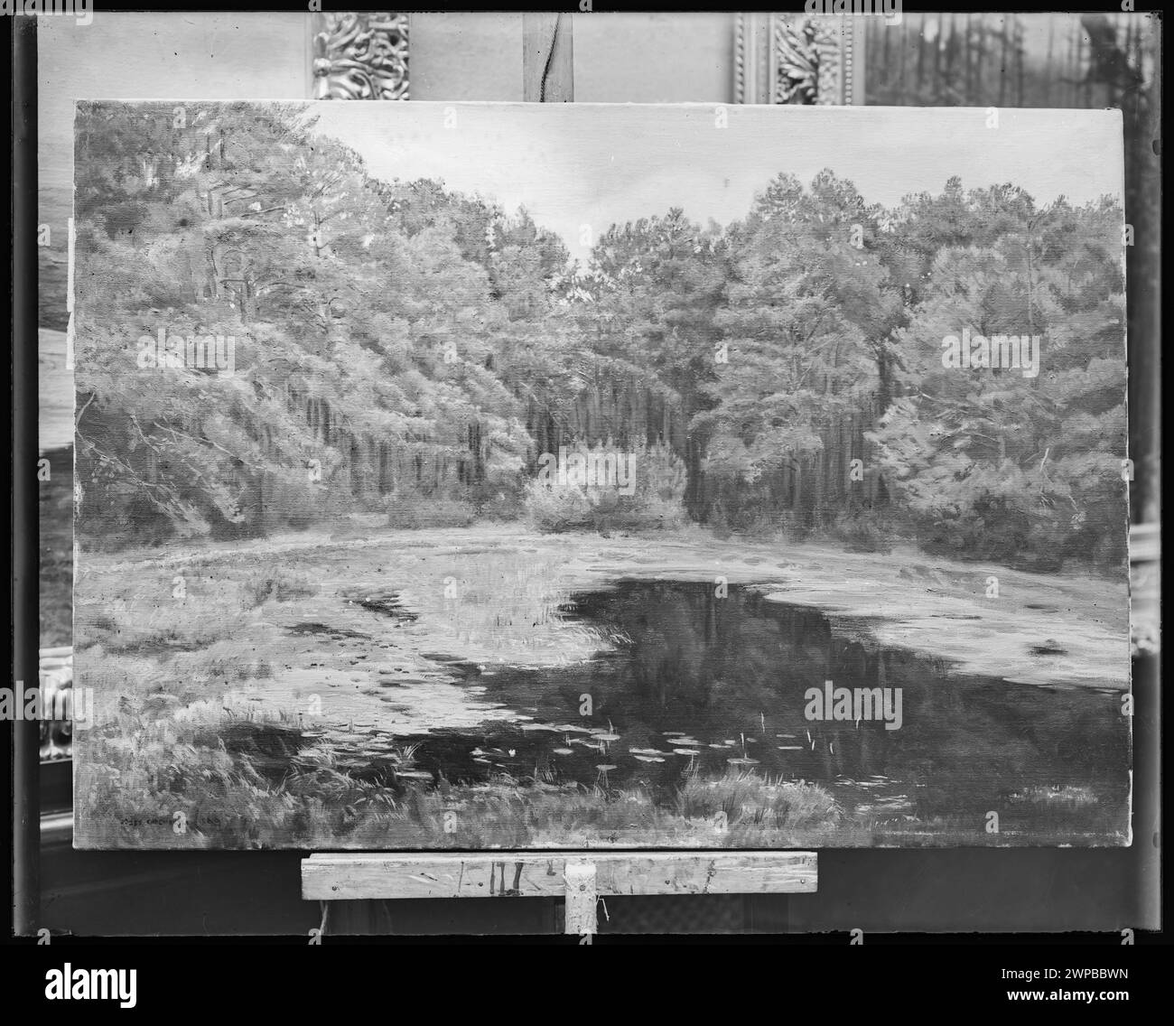 Ein Öl auf Leinwand von Józef Chełmoński aus dem Jahr 1899 mit dem Titel „Teich im Wald“, im Besitz von Antoni Górski, das derzeit im Schlesischen Museum Oppeln aufbewahrt wird. Das Werk zeigt eine Waldteichszene mit realistischen natürlichen Details. Stockfoto