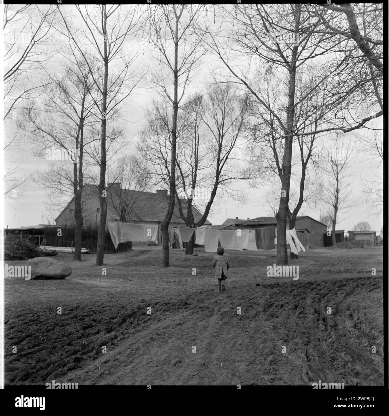 Foto mit ländlichen Gebäuden in Karsko Pyrzyckie aus dem Jahr 1954, die Dorfstrukturen und die Umgebung der Nachkriegszeit zeigen, die mit der frühen Ursus-Traktorproduktion verbunden sind. Stockfoto