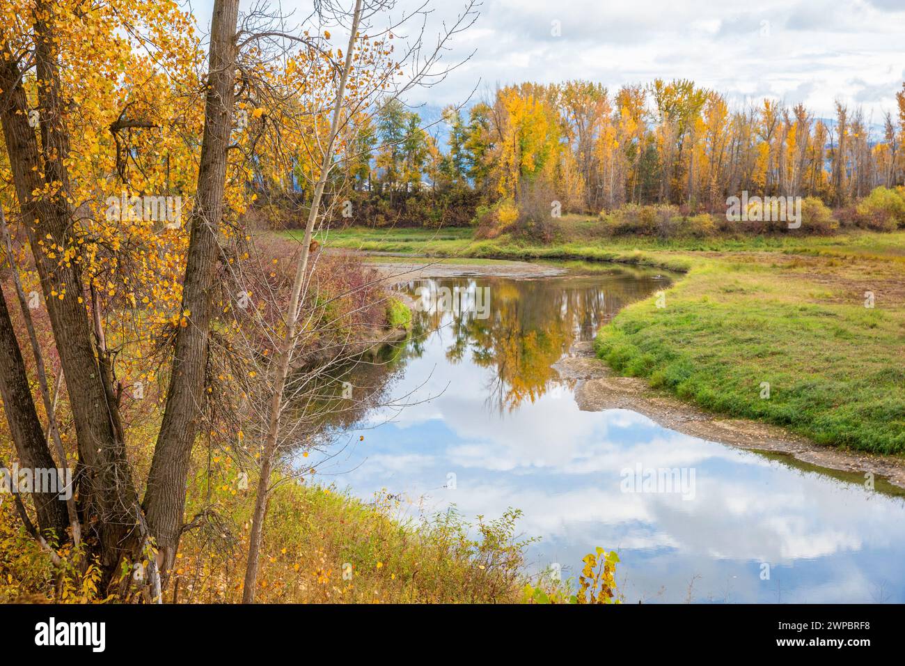 Deep Creek Trail in Bonners Ferry, Idaho, USA Stockfoto