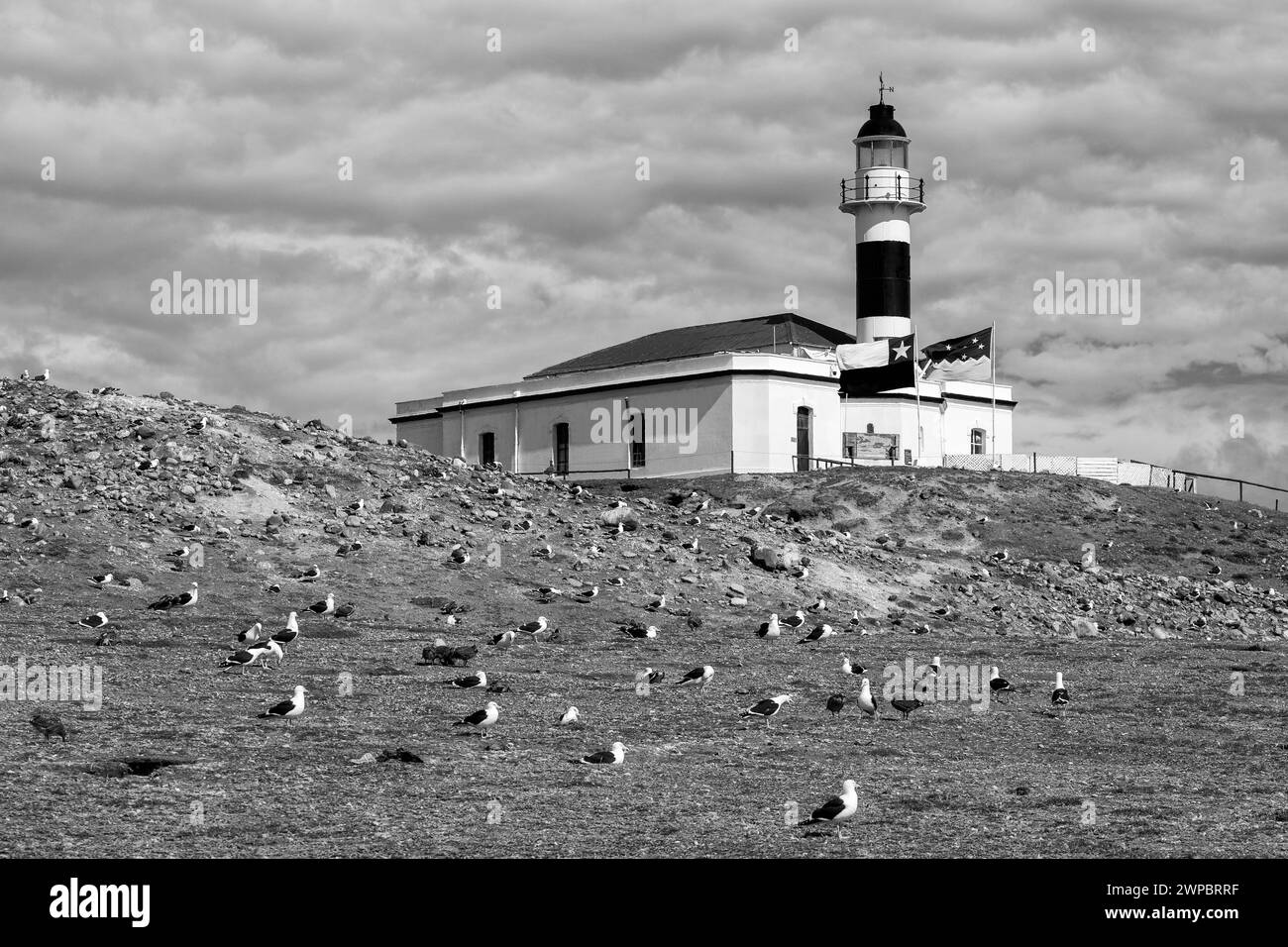 Magdalena Island Lighthouse, Magellan Strait, Magallanes Region, Chile, Südamerika Stockfoto