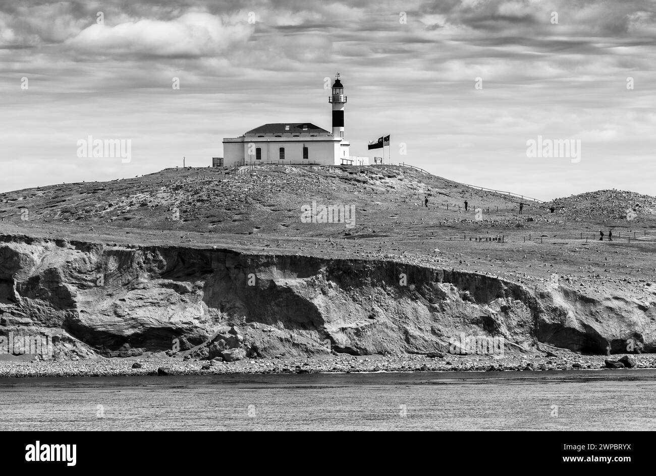 Magdalena Island Lighthouse, Magellan Strait, Magallanes Region, Chile, Südamerika Stockfoto