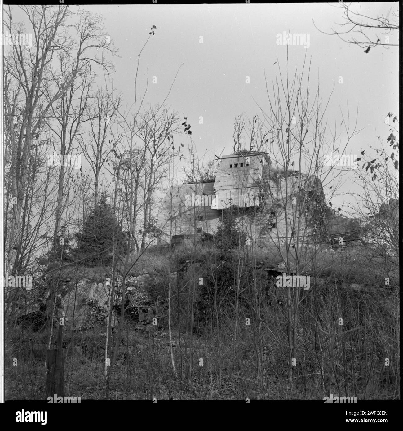 Überreste eines Bunkers in Wolfs Lair, die strukturelle Merkmale und die Umgebung des Standorts zeigen und 1953 in Fotoserien dokumentiert wurden. Stockfoto