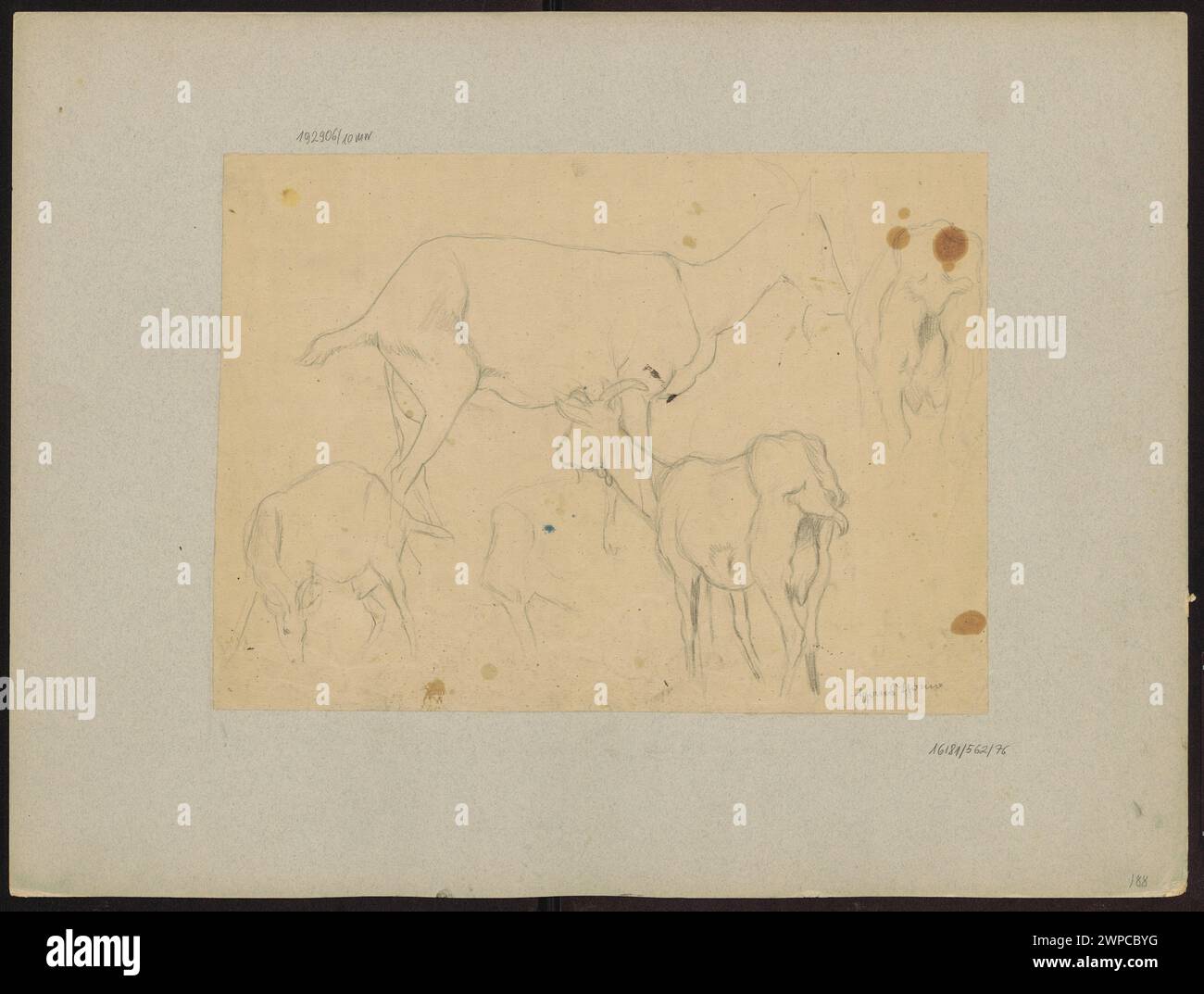 Hans Thomas Ziegenstudie fängt das Tier in einer naturalistischen Haltung ein und konzentriert sich dabei auf seine Anatomie und Bewegung. Die Studie spiegelt Thomas Interesse an der Darstellung von Tieren mit Genauigkeit und Detailgenauigkeit wider und zeigt seine Beobachtungsfähigkeiten. Die Arbeit betont die Form und Präsenz der Ziege und trägt damit zu Thomas Untersuchungen an Tieren während dieser Zeit bei. Stockfoto