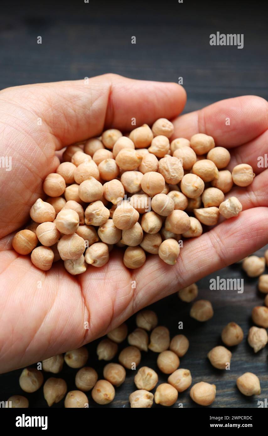 Haufen getrockneter Kichererbsen in den Händen, eine ausgezeichnete Quelle für pflanzliches Protein Stockfoto