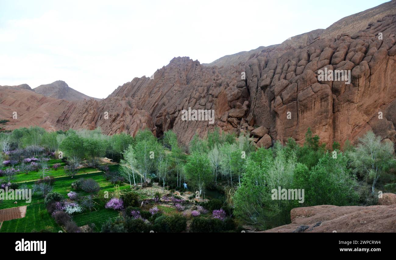 Wunderschöne Landschaften in Dadès Gorges in Marokko. Stockfoto