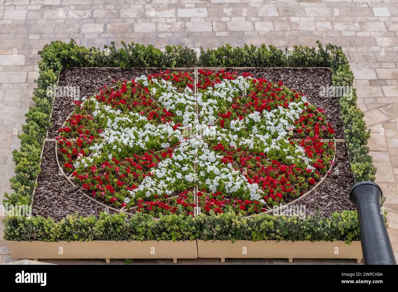 Ein Blumenbeet mit bunten Blumen stellt das maltesische Kreuz, Valletta, Malta dar Stockfoto