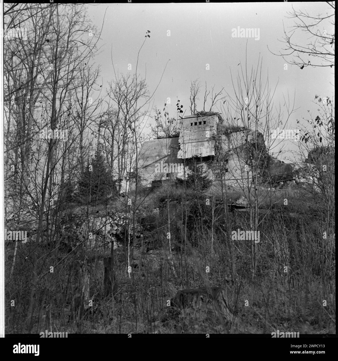 1953 Foto von Bunkerresten in Wilcze Szańc, Adolf Hitlers Militärquartier, für historische Aufzeichnungen dokumentiert. Stockfoto