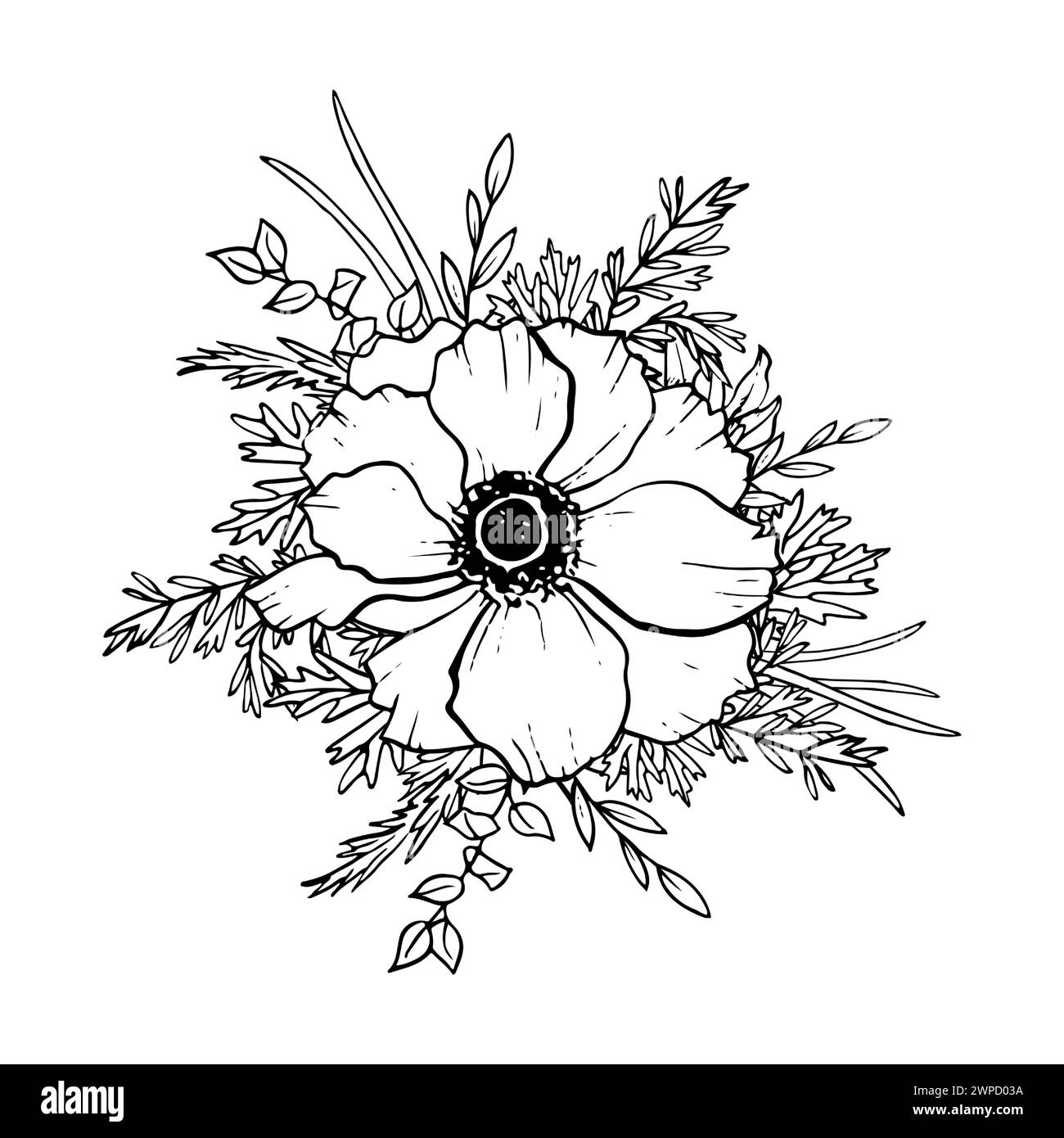 Anemonenblume mit Eukalyptuszweigen und Gras Stock Vektor