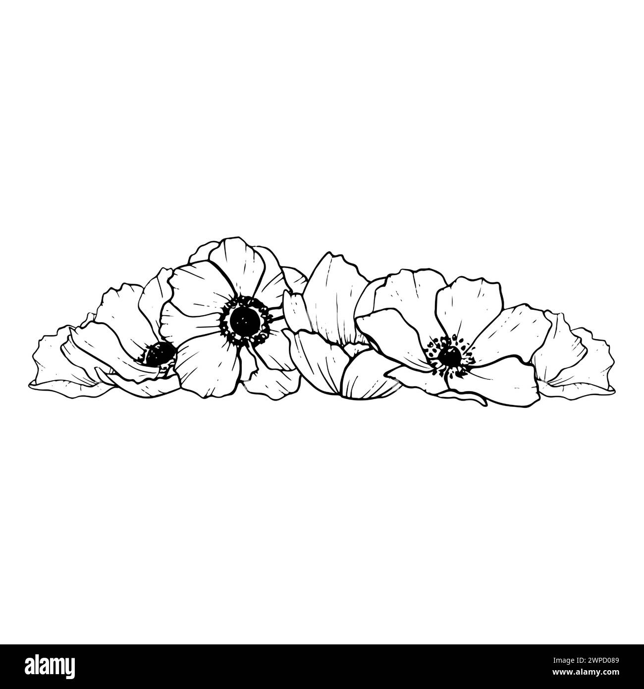 Anemonenstapel und Blütenblätter. Blumenzeichnung Stock Vektor
