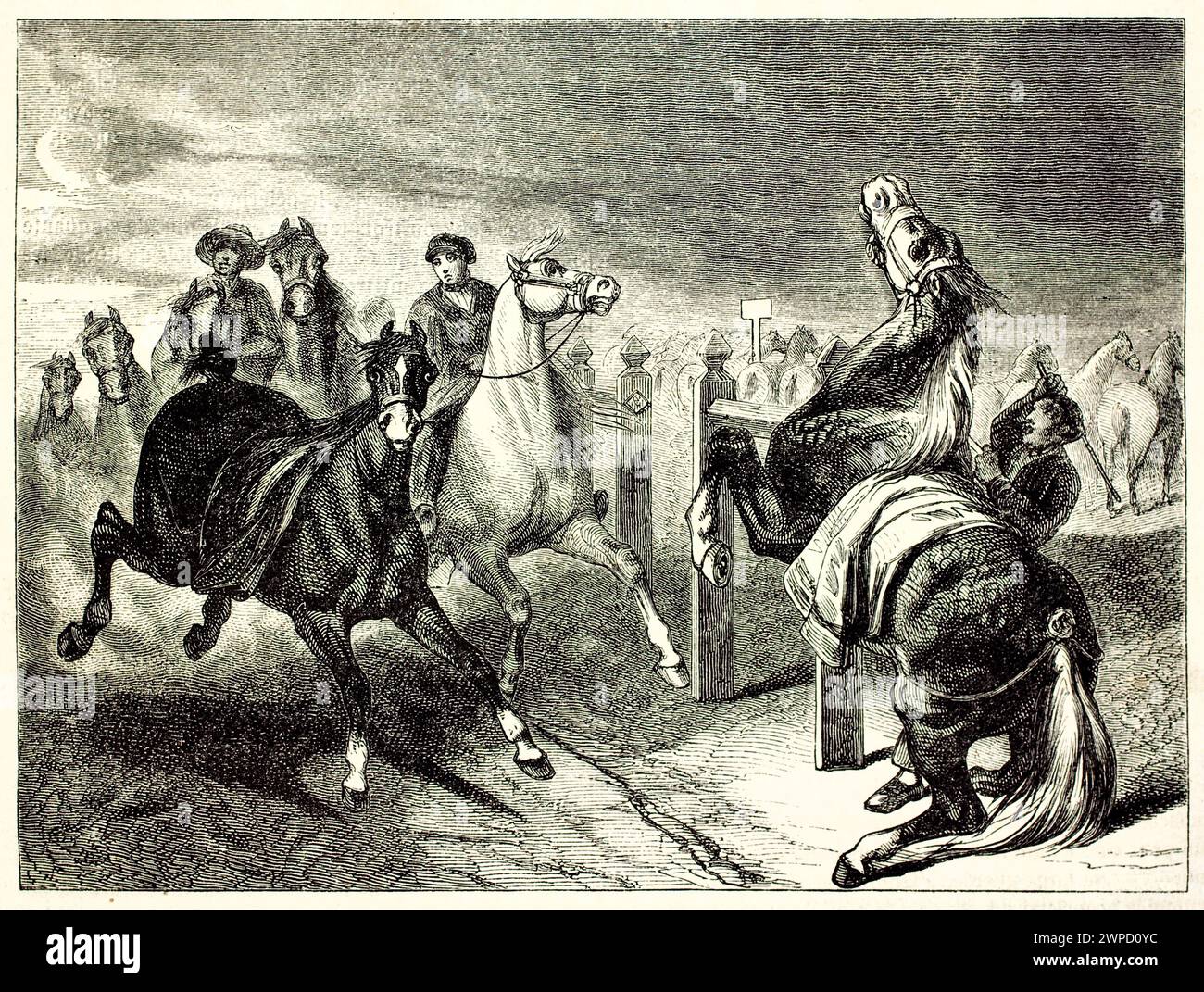 Gravierte Illustration einer Pferdemarktszene mit dynamischen Figuren. Von Giroux und Banchard, veröffentlicht in Magasin Pittoresque, Paris, 1852. Stockfoto