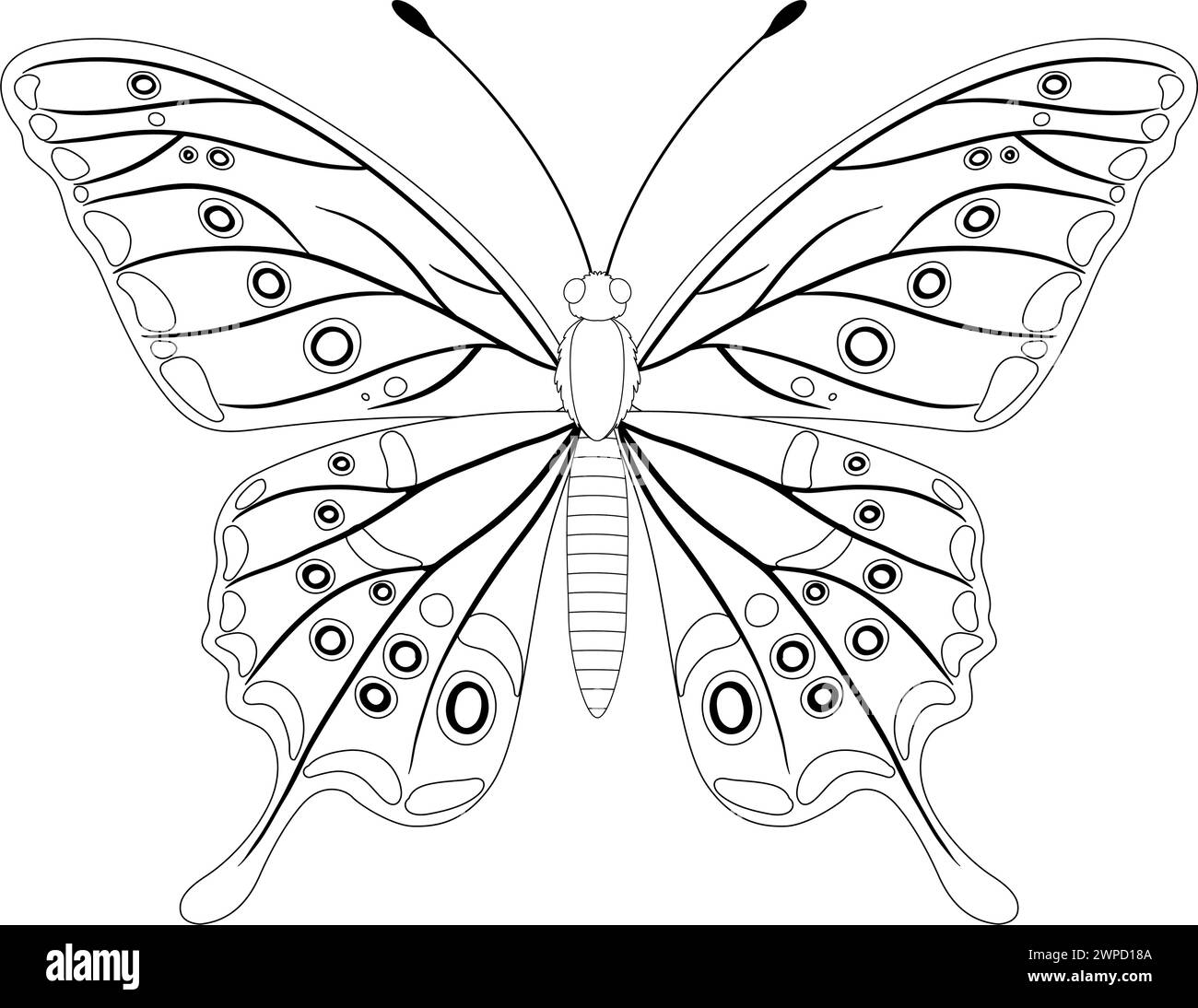 Schwarz-weiße Linienzeichnung eines Schmetterlings Stock Vektor