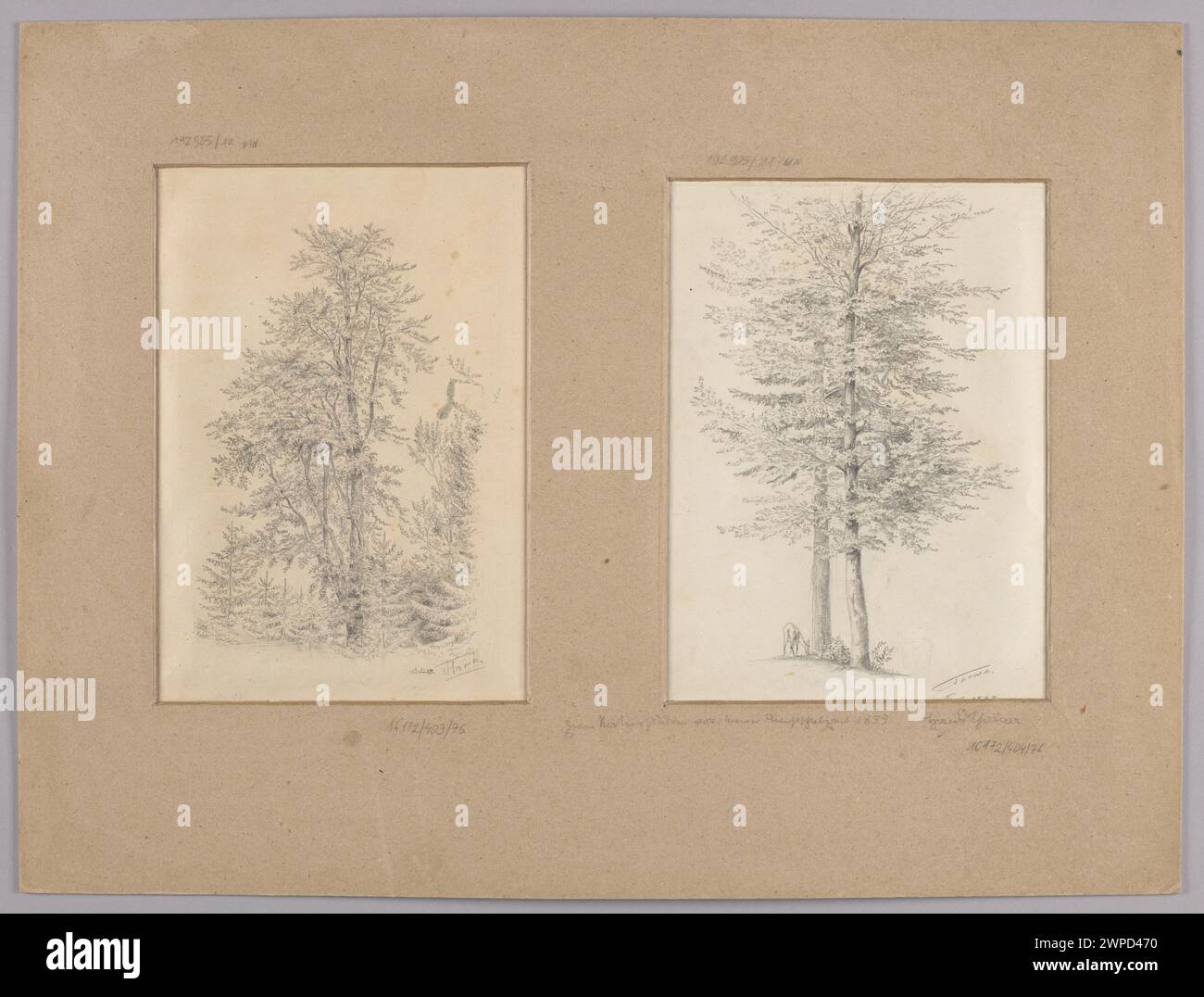 Fragment des Waldes mit einem Baum im Vordergrund, Ziege unter zwei Bäumen; Thoma, Hans (1839-1924); 1859 (1859-00-00-1859-00), 1858 (1858-00-00-1858-00-00); Stockfoto