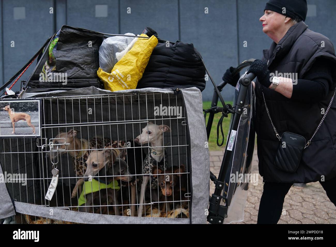 Hunde und Besitzer kommen am ersten Tag der Crufts Dog Show im National ...