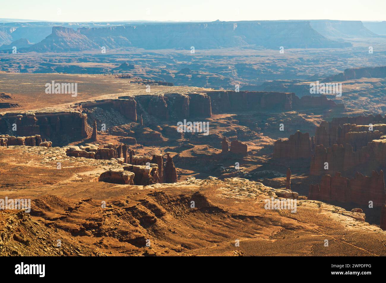 Green River Overlook, Canyonlands National Park im Südosten von Utah, USA Stockfoto