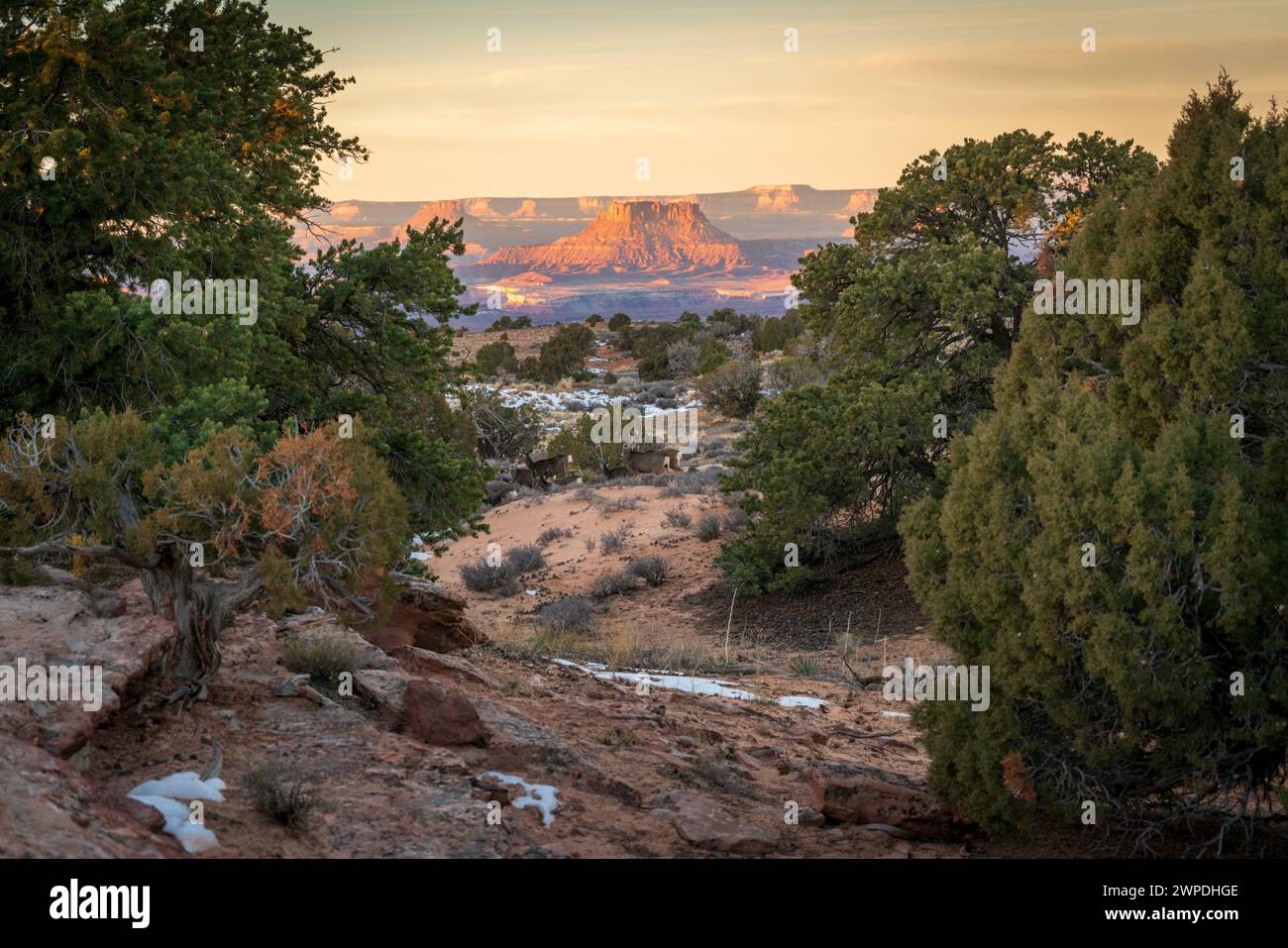 Wintersonnenaufgang im Canyonlands-Nationalpark im Südosten von Utah, USA Stockfoto