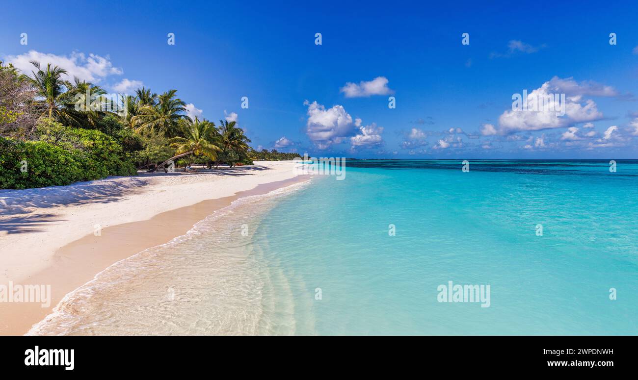 Strandnaturkonzept. Palmenstrand auf tropischer idyllischer Paradiesinsel. Exotische Landschaft für traumhafte und inspirierende Sommerlandschaften im Hintergrund Stockfoto