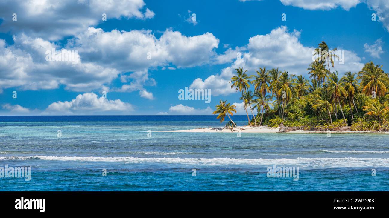 Strandnaturkonzept. Palmenstrand auf tropischer idyllischer Paradiesinsel. Exotische Landschaft für traumhafte und inspirierende Sommerlandschaften im Hintergrund Stockfoto