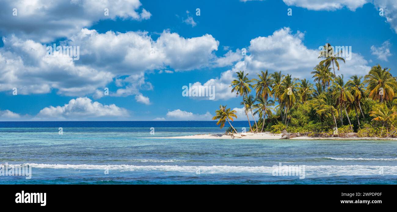 Strandnaturkonzept. Palmenstrand auf tropischer idyllischer Paradiesinsel. Exotische Landschaft für traumhafte und inspirierende Sommerlandschaften im Hintergrund Stockfoto