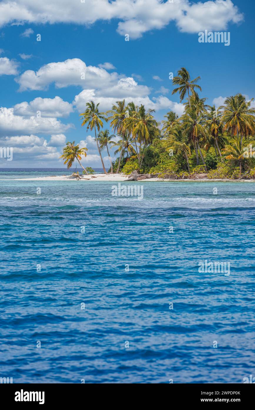 Strandnaturkonzept. Palmenstrand auf tropischer idyllischer Paradiesinsel. Exotische Landschaft für traumhafte und inspirierende Sommerlandschaften im Hintergrund Stockfoto