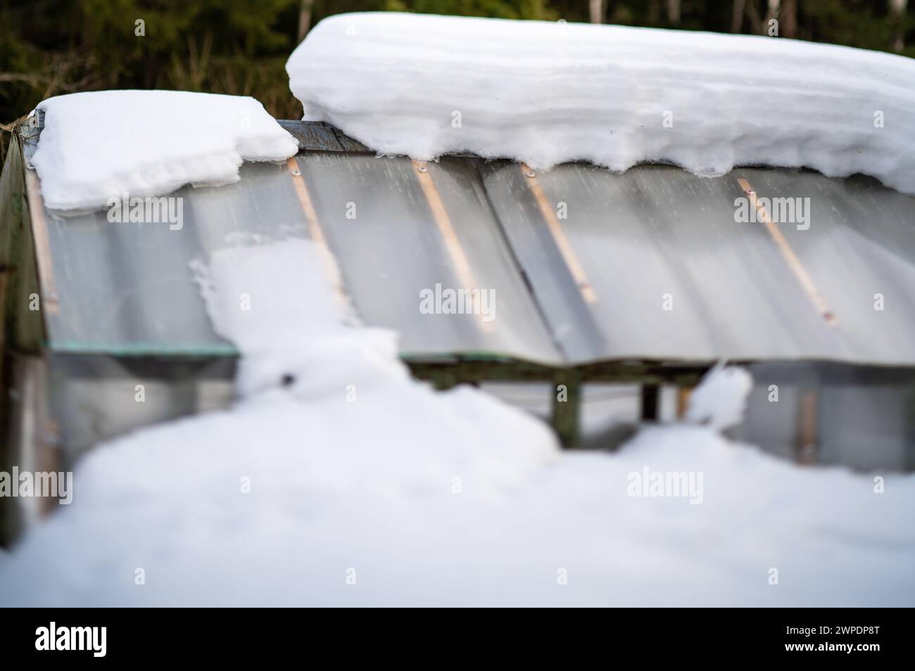 Eine Schneewehung auf dem Gewächshaus, Kippschieber, Winterszene Stockfoto