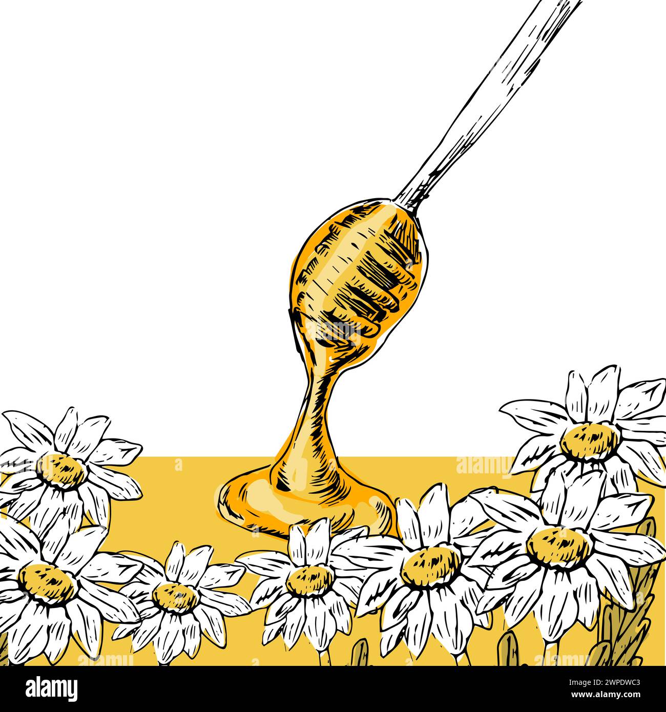 Honig und Blumen handgezeichnete Zeichnung in Farbe. Vektorillustration kann zum Einpacken von Papier, Etiketten, Poster, Karten verwendet werden. Gravur oder Ink Vektor Honig illu Stock Vektor