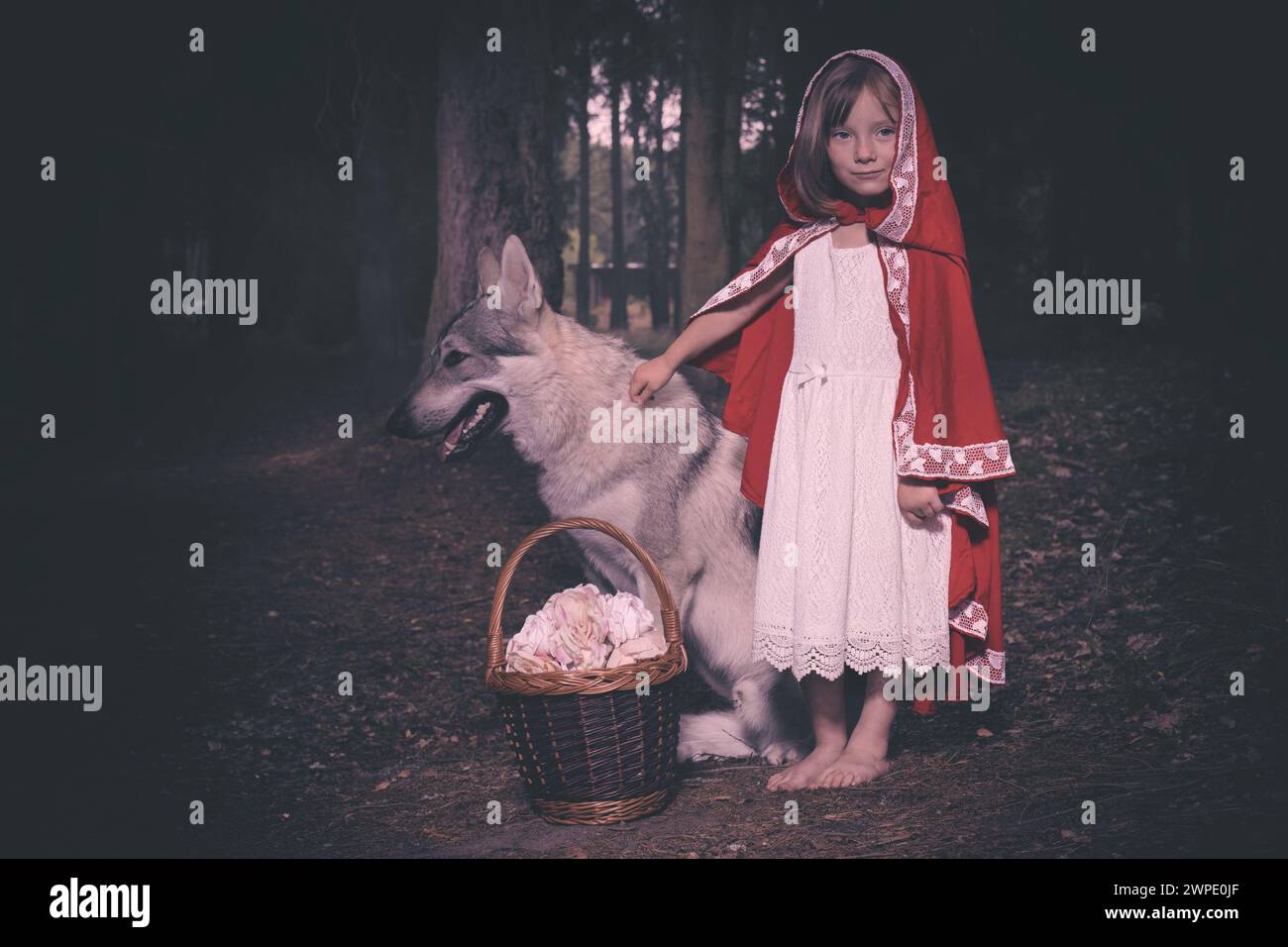 Rotkäppchen mit Futterkorb trafen Wolf im tiefen Wald Stockfoto