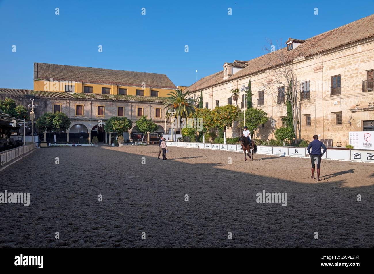 Las Caballerizas Reales de Cordoba (die Königlichen Ställe von Cordoba) in der historischen Stadt Cordoba in Andalusien, Südspanien die Ausbildung Stockfoto